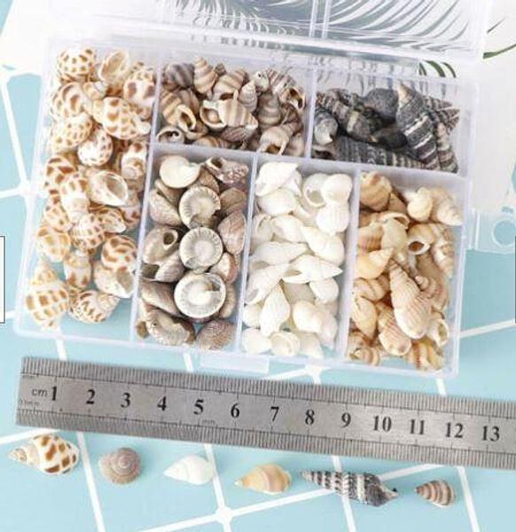 Mini Sea Shells - 100pc