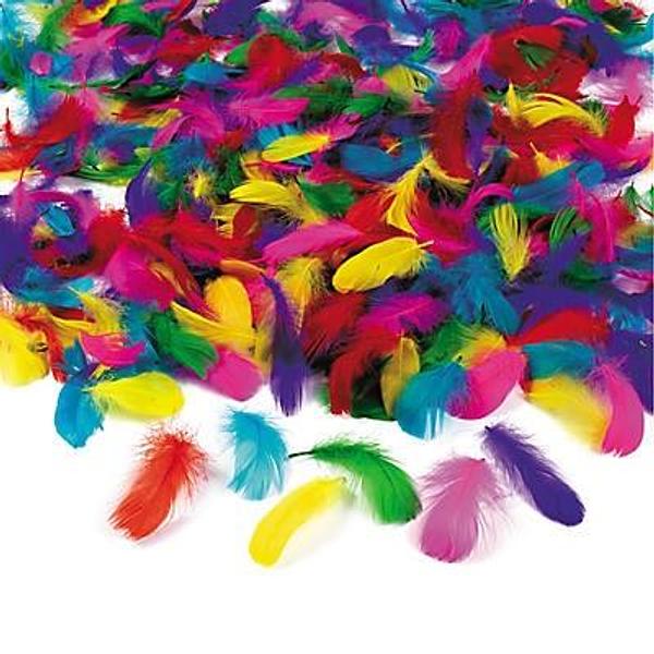 Coloured Feather Assortment - 600pk