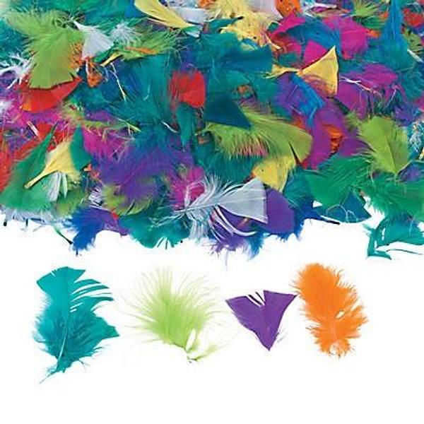 Bright Turkey Feather Assortment - 800pack